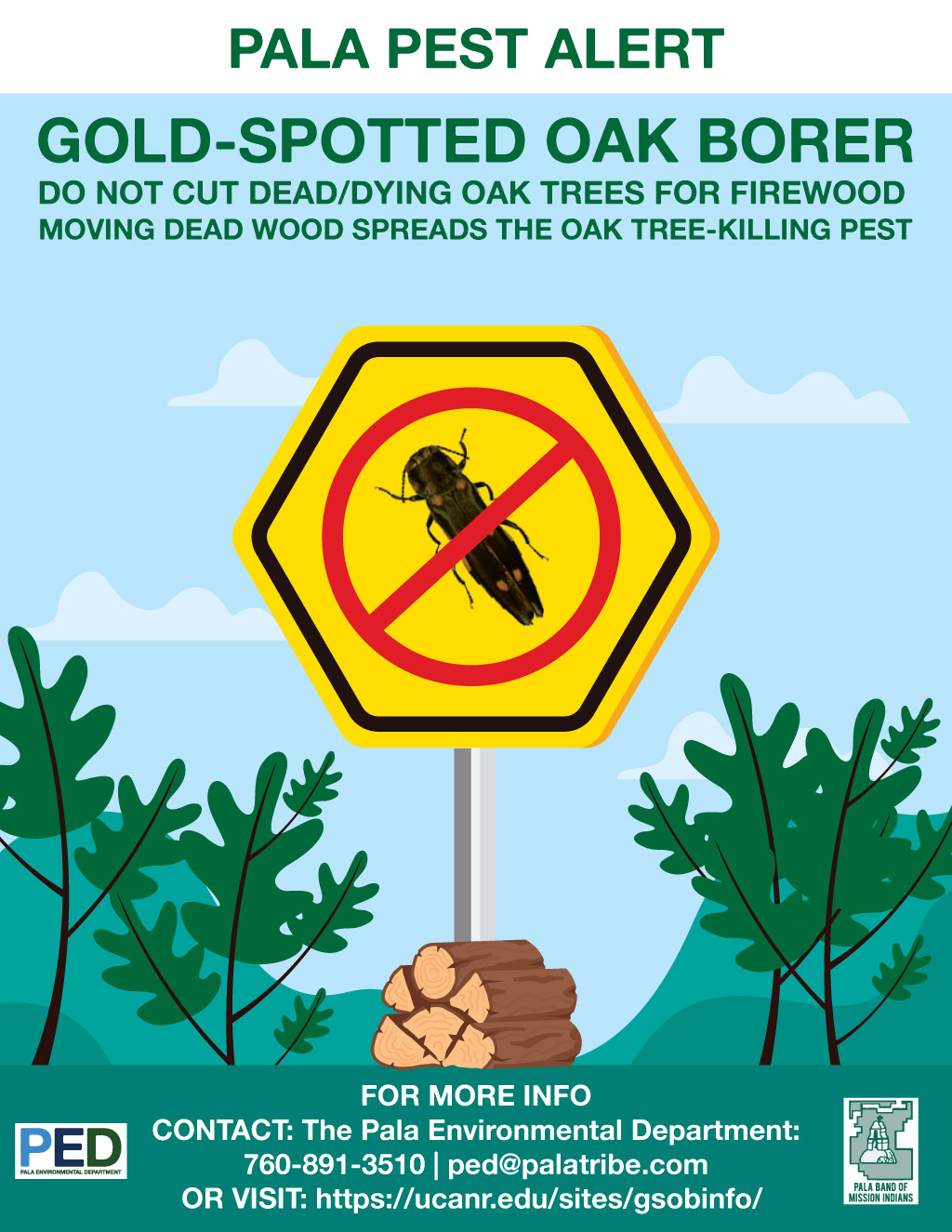 Pala Environmental Department Pala Band Pest Alert Gold-Spotted Oak Borer
